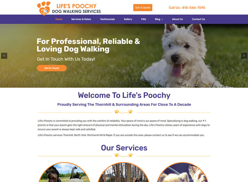 Website Design Brampton